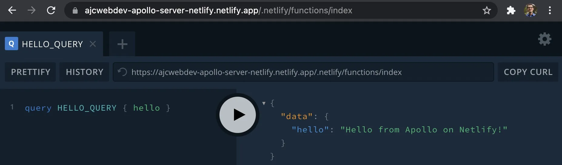 03 - apollo-server-lambda-netlify-function